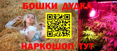 PSILOCYBIN Гай