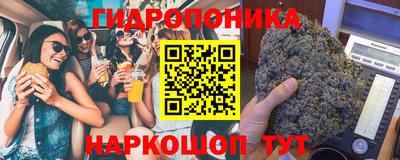 PSILOCYBIN Гай
