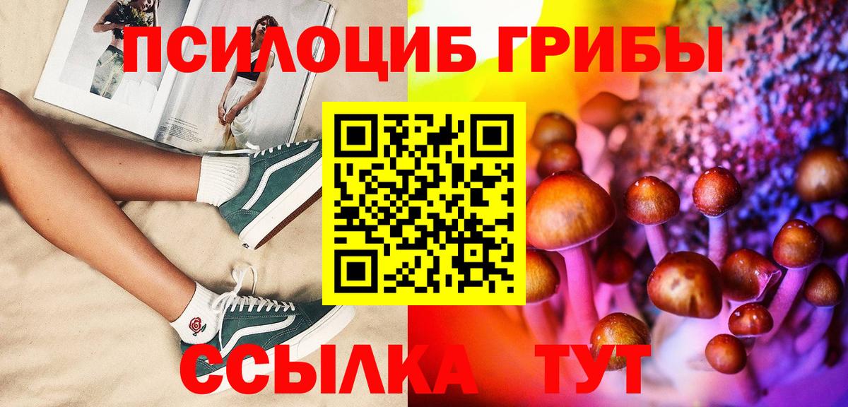Сатка  Галлюциногенные грибы Cubensis  Вход с VPN 